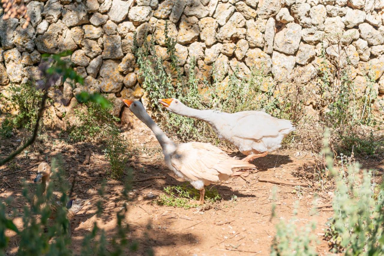 Vakantiehuis Sunset Private Eco-villa Vey *
