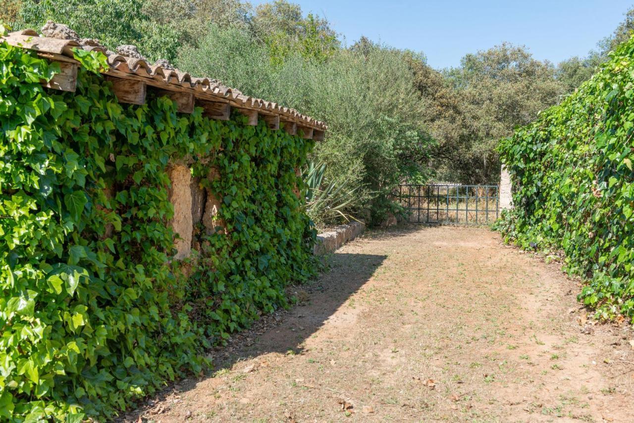 Sunset Private Eco-villa Vey